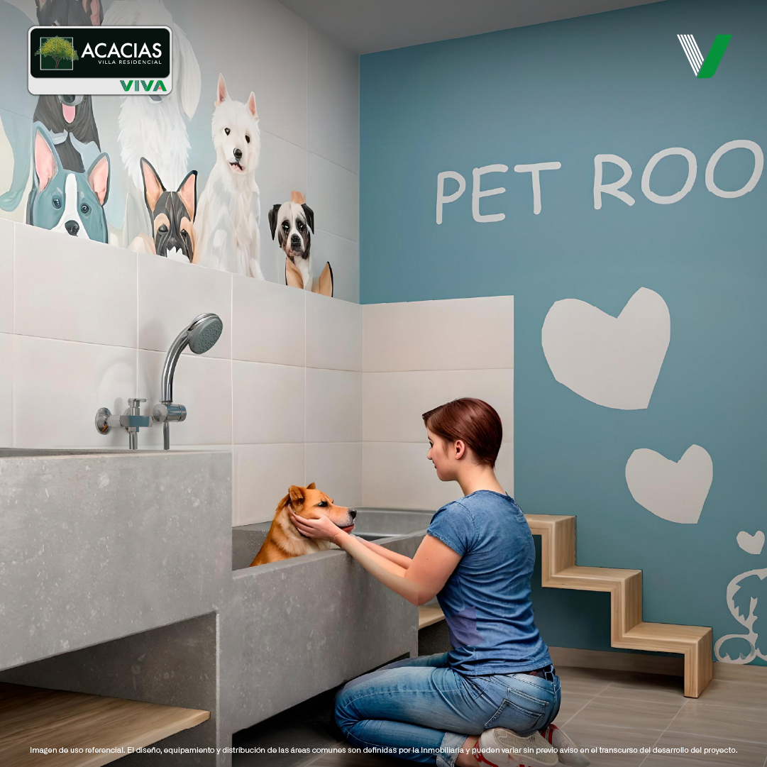 Áreas Comunes Áreas Comunes